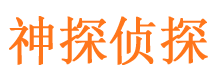 马龙市侦探公司